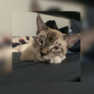 Meet your Posher, Ian